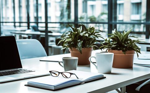 北京商標(biāo)注冊(cè)查詢?nèi)绾无k理？注意事項(xiàng)有哪些？